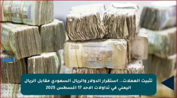 تثبيت العملات.. استقرار الدولار والريال السعودي مقابل الريال اليمني في تداولات الأحد 17 أغسطس 2025